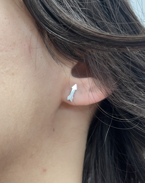 Image of Puces d'oreilles EMMA